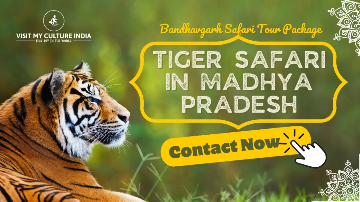 Bandhavgarh Safari Tour Package