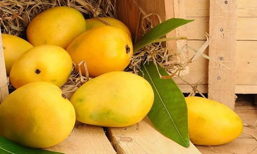 Best Pakistani Mangoes Online Complete Buying Guide 2026