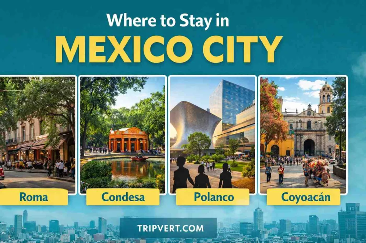 Featured image for A Traveler’s Guide to the Best Areas to Stay in Mexico City - travel blog post