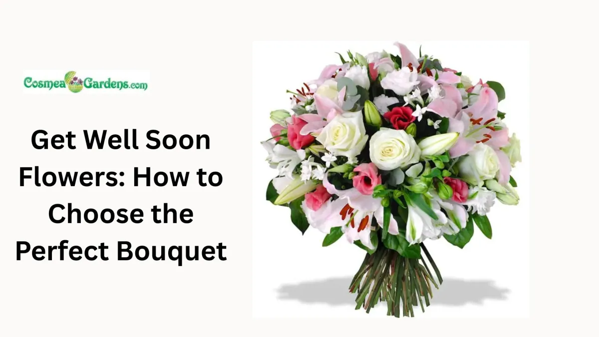 Get Well Soon Flowers: How to Choose the Perfect Bouquet