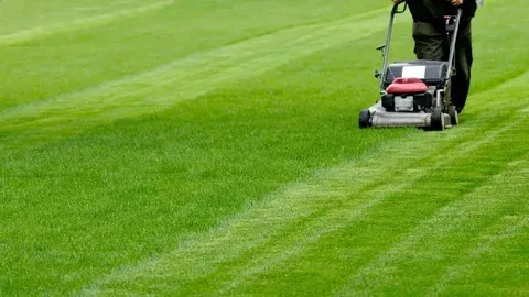 Expert Lawn Mowing Service In North Atlanta GA