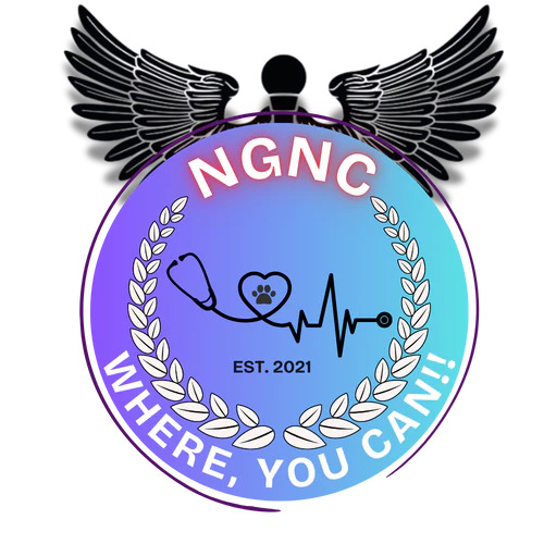 NCLEX Review Classes Online – Ace Your Exam with Expert-Led Prep