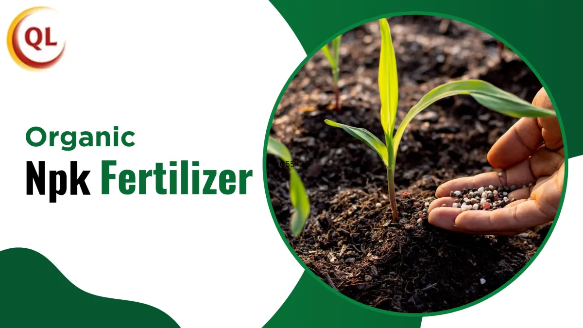Organic NPK Fertilizer: A Smart Choice for Eco-Friendly Farming Featured Image