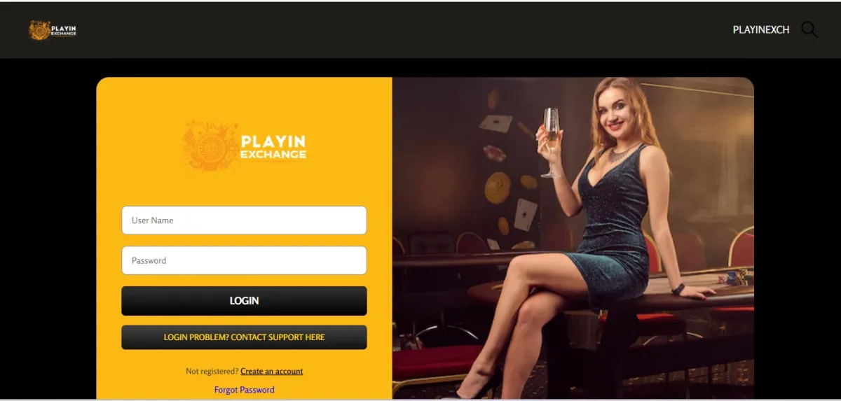 Playinexch Features and Usability: A General Evaluation Framework