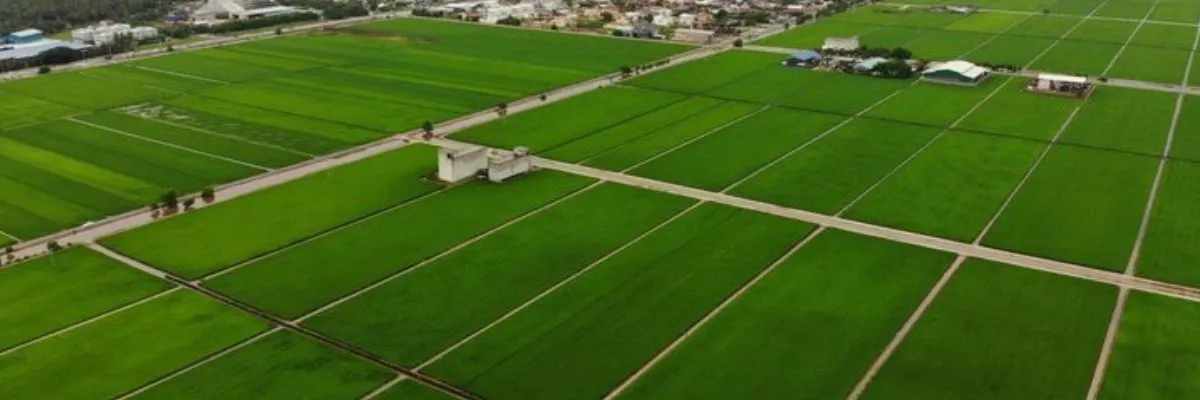 Image for article: Prestige Plots Bangalore | 1200 Sq Ft Plots | Pric...