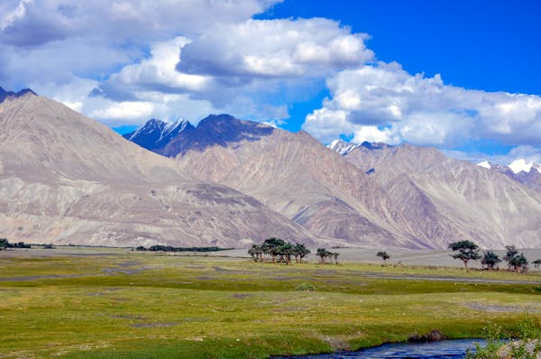 Nubra valley ladakh